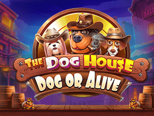 The Dog House - Dog or Alive game icon